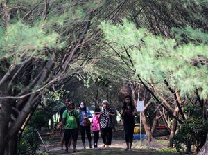Tahura Pakal, Solusi Ngadem di Surabaya