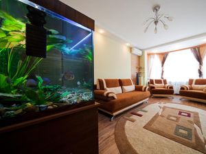 5 Jenis Filter Aquarium, Ini Fungsi dan Tips Memilihnya