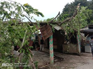 Angin Kencang Terjadi di Bogor, Pohon Tumbang-Timpa Bangunan