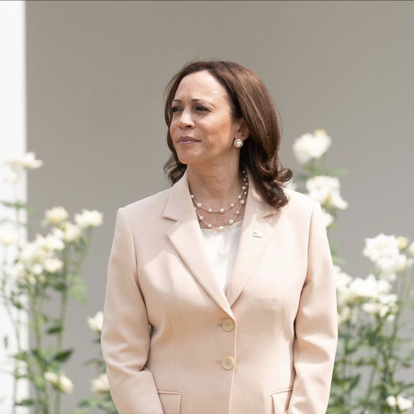 Aksesori Kamala Harris/