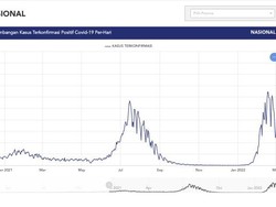 Luhut Bilang Kasus Corona RI Turun Signifikan, Seperti Ini Grafiknya