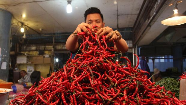 HARGA CABAI MERAH NAIK Pedagang menata cabai merah di Pasar Raya Padang, Sumatera Barat, Senin (7/3/2022). Harga cabai merah di pasar tersebut naik dari Rp40.000 per kilogram menjadi Rp56.000 per kilogram akibat berkurangnya pasokan sejak seminggu terakhir. ANTARA FOTO/Muhammad Arif Pribadi/WS/rwa.