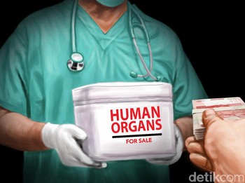 Paket Misterius Potongan Tangan dan Plasenta Manusia