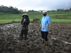 Kala Sandiaga Turun ke Sawah Beri Bantuan Uang ke Petani