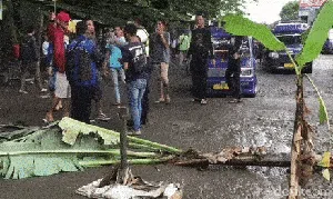 Protes Jalan Rusak, Sopir Angkot Blokir Ruas Sukabumi - Bogor