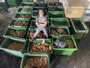 Keren! Pemuda Ini Budi Daya Belatung Demi Atasi Limbah Makanan