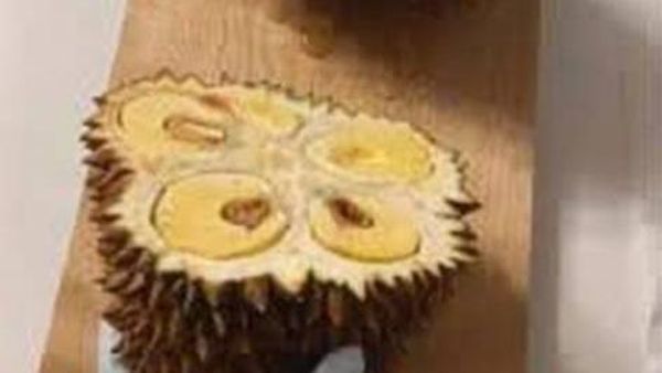 10 Cara Iris Makanan yang Nyeleneh Ini Pancing Emosi Netizen