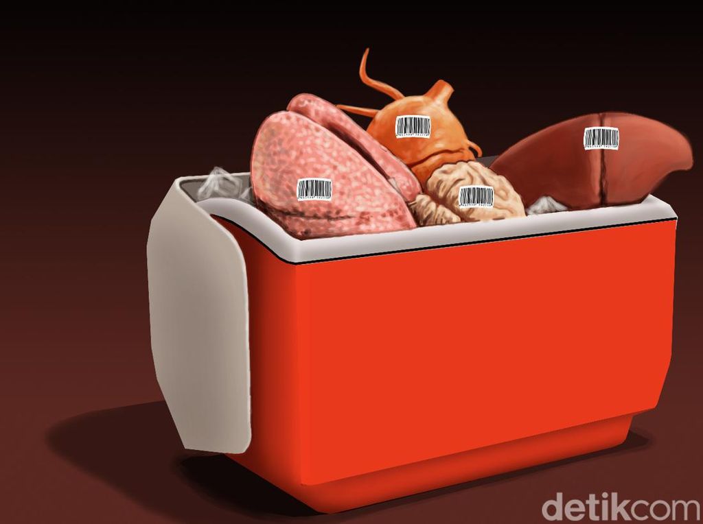 Video: Situs Jual Beli Organ Manusia Diblokir Kominfo Video: Situs Jual Beli Organ Manusia Diblokir Kominfo