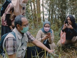 Yuk! Coba Wisata Berburu Tanaman Obat di Bukit Turgo Sleman