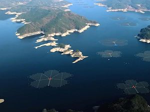 Cerdik! Korea Bangun Panel Surya, Eh Sekaligus Jadi Destinasi Wisata