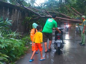 Pohon Tumbang Melintang Tutup Akses Jalan Pejuang Bekasi