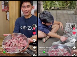 Sultan! Alshad Ahmad Beri Harimau Putih Miliknya Pakan Wagyu A5