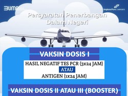 Aturan Terbaru Naik Pesawat dari Bandara Juanda, Tidak Wajib PCR/Antigen