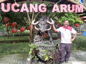 Wow! Ada Patung Banteng-Celeng di Taman Depan Kediaman FX Rudy Wow! Ada Patung Banteng-Celeng di Taman Depan Kediaman FX Rudy