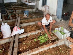 Warga Blitar Raup Jutaan Rupiah Budidaya Cacing Farmasi, Begini Caranya