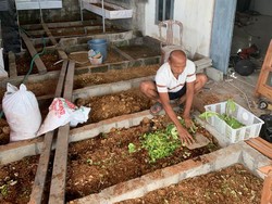 Warga Blitar Raup Jutaan Rupiah Budidaya Cacing Farmasi, Begini Caranya