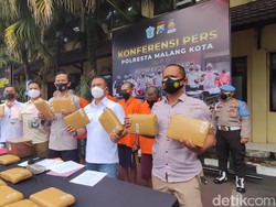 Polisi Amankan 14,5 Kg Ganja di Malang, 5 Pengedarnya Dibekuk
