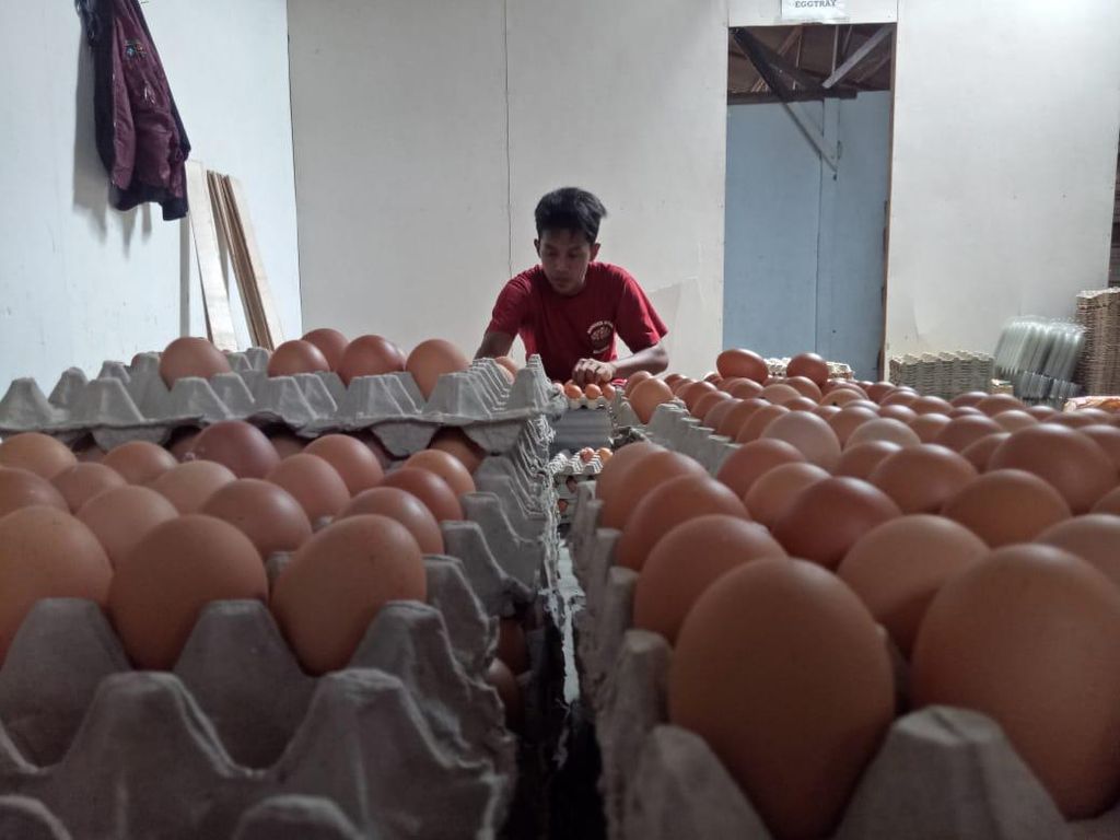 Harga Telur di Blitar Merangkak Naik dalam Sepekan