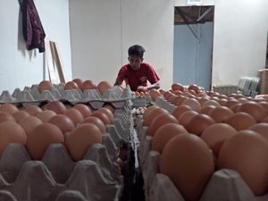 Harga Telur di Blitar Merangkak Naik dalam Sepekan Harga Telur di Blitar Merangkak Naik dalam Sepekan