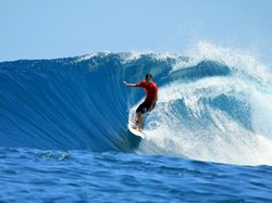 Berselancar dengan Ular Piton Melingkar di Leher, Pria Ini Didenda