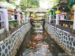 Komunitas di Banyuwangi Ini Ubah Sungai Penuh Sampah Jadi Sentra Ikan