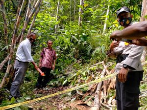 Pasutri Lansia di Kulon Progo Tersengat Listrik, 1 Tewas