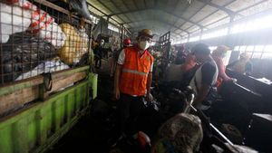 Melihat Tempat Pengolahan Sampah Terpadu di Banyumas
