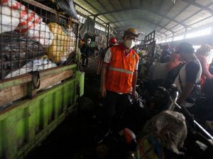 Melihat Tempat Pengolahan Sampah Terpadu di Banyumas