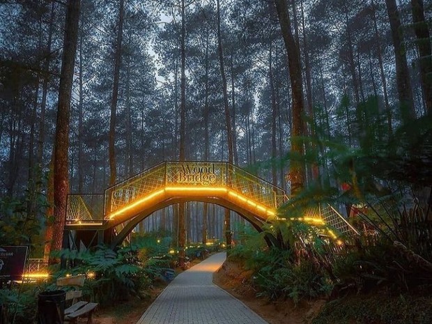 Orchid Forest Cikole/Foto: Instagram.com/Orchidforestcikole Orchid Forest Cikole, salah satu destinasi wisata alam yang berada di Jawa Barat