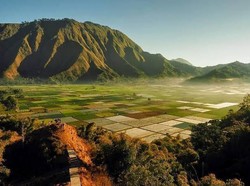 Pendaki ke Gunung Rinjani, Sembalun sedang Lebih Dingin dari Biasanya Nih