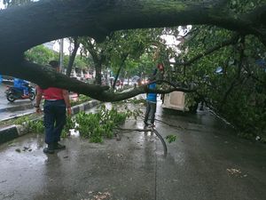 Hujan Disertai Angin Kencang di Depok Bikin Pohon Tumbang-Atap Rumah Rusak