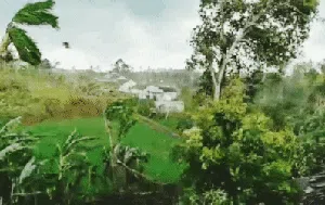 Penampakan Puting Beliung Rusak 90 Rumah Warga di Sukabumi