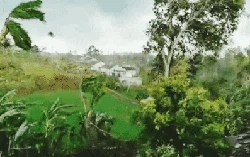 Penampakan Puting Beliung Rusak 90 Rumah Warga di Sukabumi