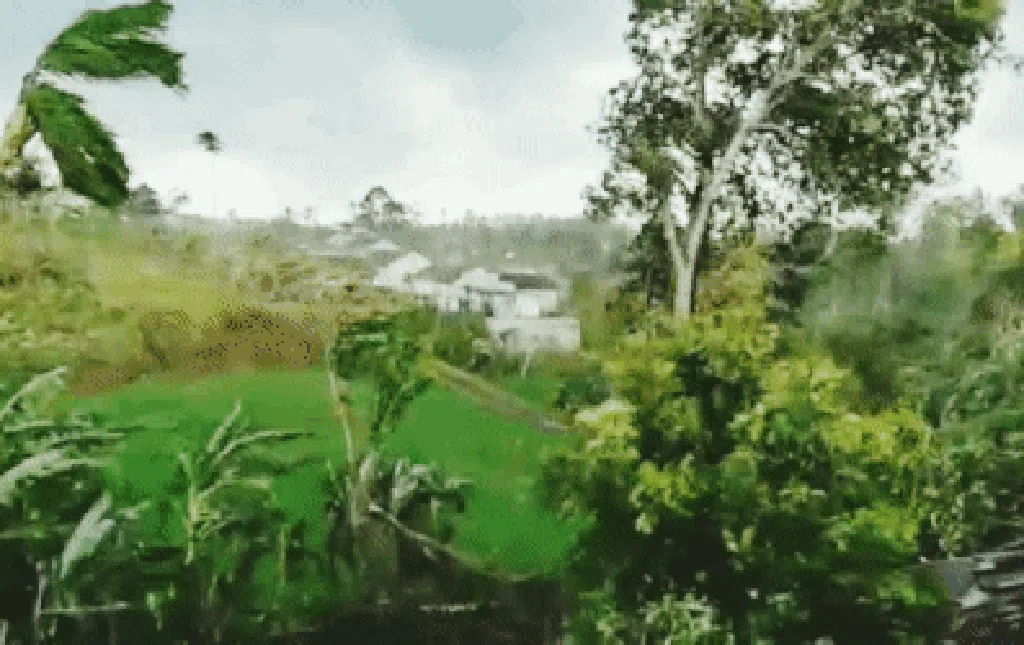 Penampakan Puting Beliung Rusak 90 Rumah Warga di Sukabumi Penampakan Puting Beliung Rusak 90 Rumah Warga di Sukabumi