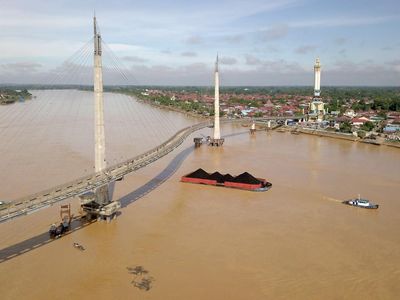 Intip Aktivitas Kapal Tongkang Muatan Batu Bara di Sungai Batanghari