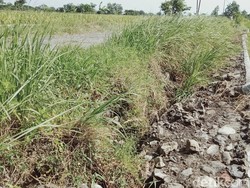 Lapor! Talut di Jalan Alternatif Delanggu-Polanharjo Ambrol