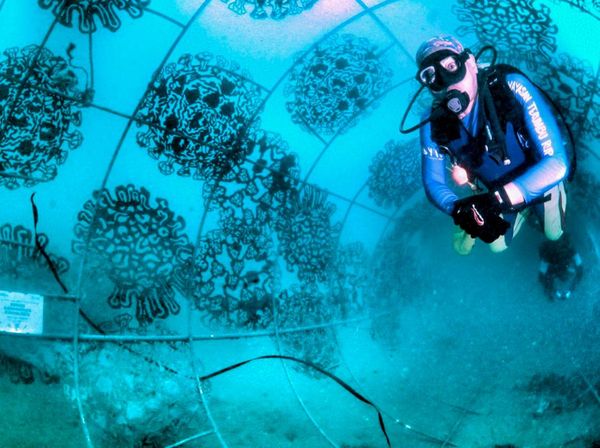 Terpesona Kawasan Terumbu Karang di Bangsring Banyuwangi