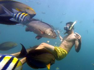 Apa Itu Halogen dalam Kimia? Berikut Definisi, Unsur, Sifat dan Manfaatnya