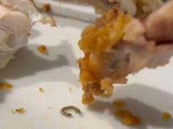 Jijik! Wanita Ini Temukan Ulat Bulu Saat Makan Ayam Goreng