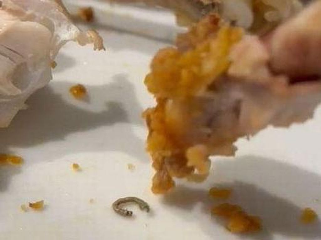 Jijik! Wanita Ini Temukan Ulat Bulu Saat Makan Ayam Goreng Jijik! Wanita Ini Temukan Ulat Bulu Saat Makan Ayam Goreng
