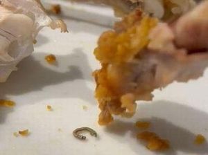 Jijik! Wanita Ini Temukan Ulat Bulu Saat Makan Ayam Goreng Jijik! Wanita Ini Temukan Ulat Bulu Saat Makan Ayam Goreng