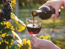 Kekurangan Peserta, Aksi Bersulang Sambil Minum Wine Gagal Pecahkan Rekor Dunia