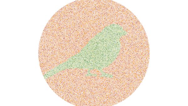 Kesulitan Tebak Siluet Hewan Ini? Awas Bisa Jadi Gejala Buta Warna