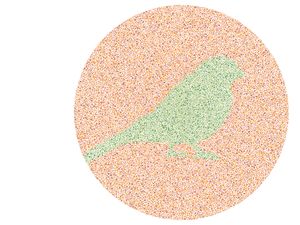 Kesulitan Tebak Siluet Hewan Ini? Awas Bisa Jadi Gejala Buta Warna