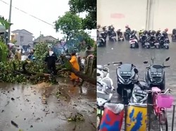 Pohon Tumbang dan Banjir Terjang Solokanjeruk