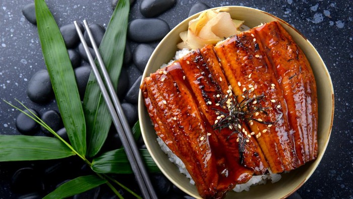 Belut Japanese eel grilled with rice or Unagi don set on plate in Japanese style with studio lighting. manfaat belut