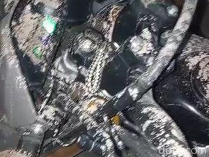 Penampakan Hujan Abu Erupsi Gunung Merapi di Desa Tlogolele Boyolali Penampakan Hujan Abu Erupsi Gunung Merapi di Desa Tlogolele Boyolali