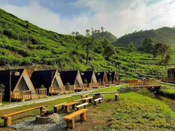 Ecopark Curug Tilu, Penginapan Cantik di Tengah Perkebunan Teh Eksotis