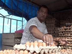 Harga Telur Ayam di Polman Meroket Jelang Ramadan, 1 Rak Rp 42.000