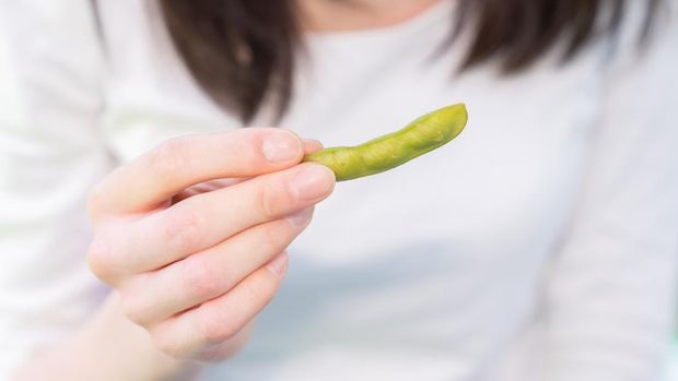 Ilustrasi edamame